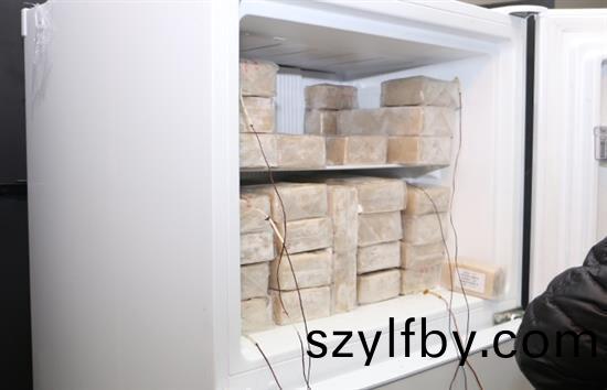 Refrigerator and freezer performance testing